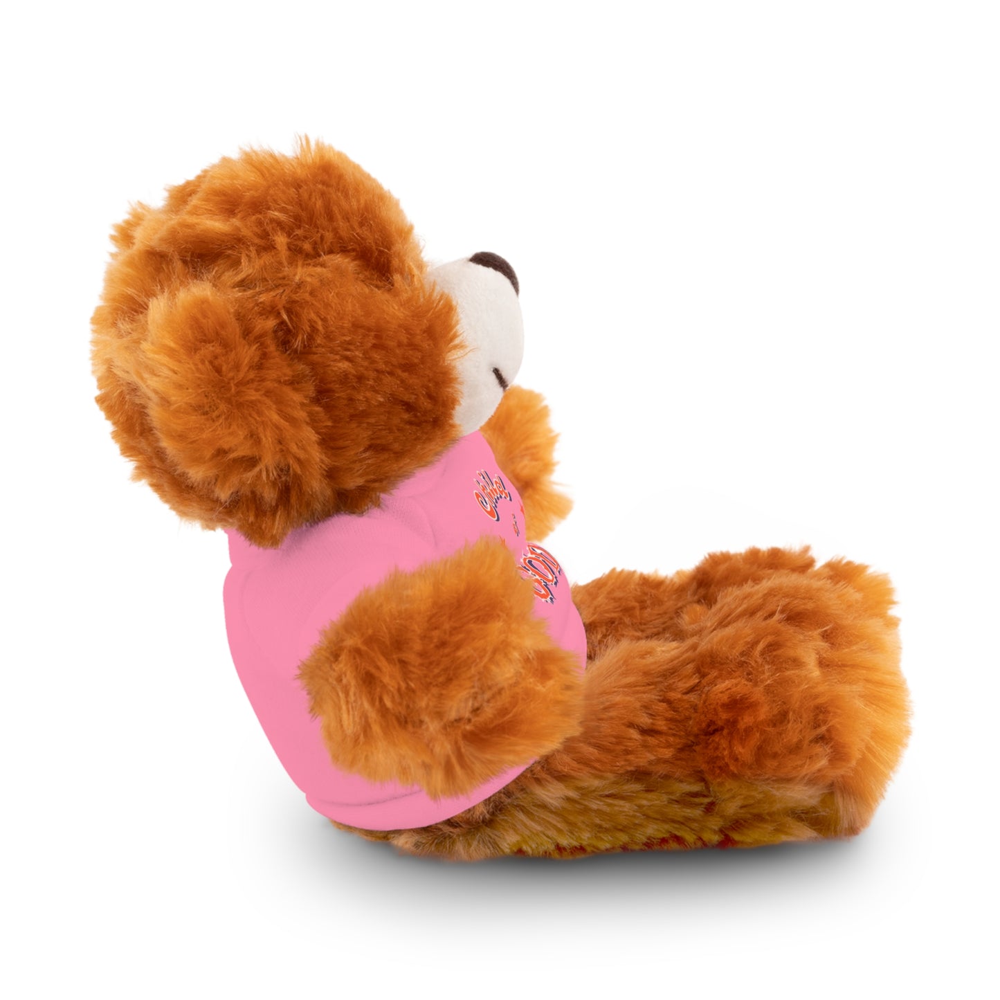 Child of God Stuffed Animal with Tee