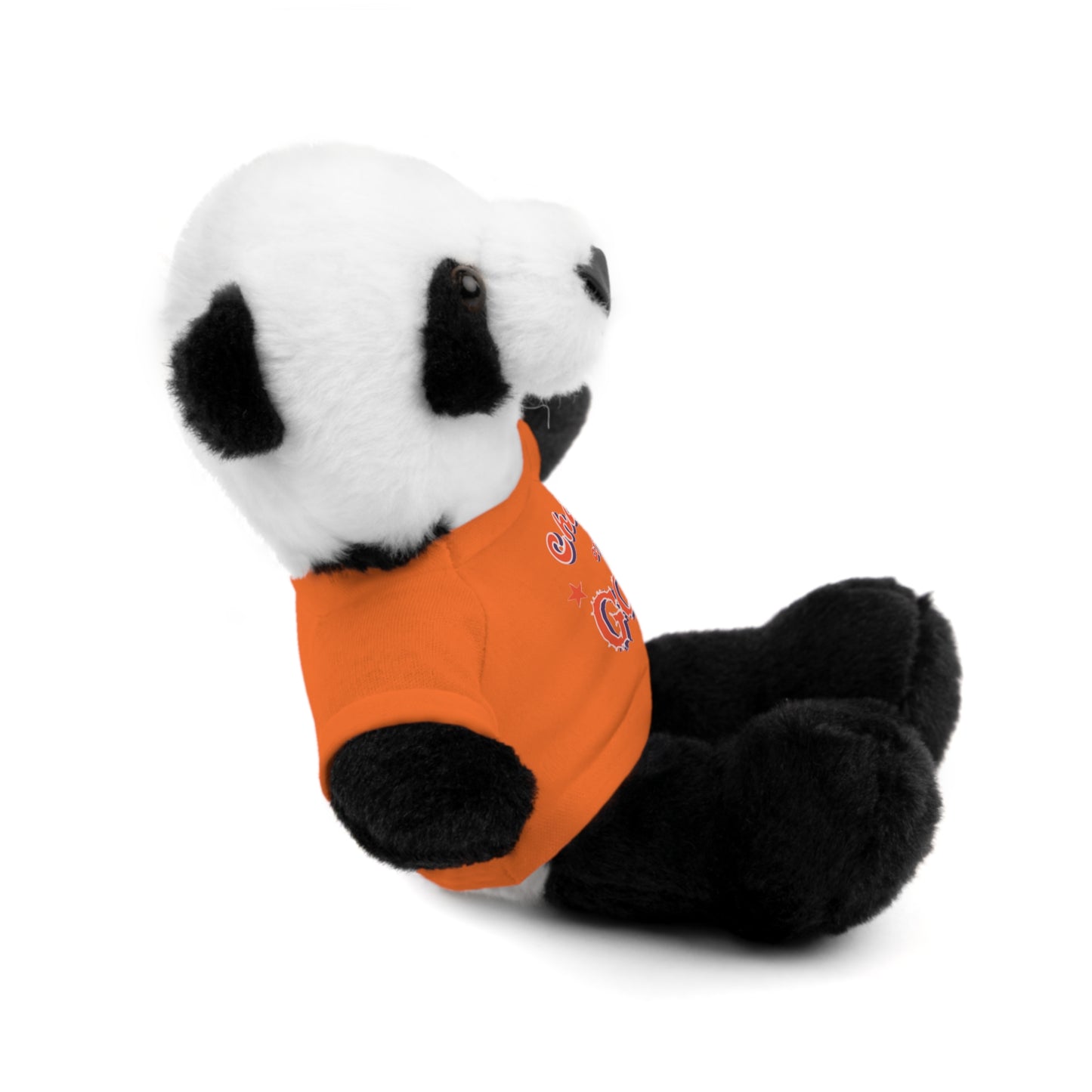 Child of God Stuffed Animal with Tee